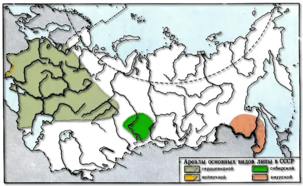 Карта ареалов основных видов липы на территории бывшего СССР