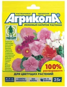 Почему не цветет спатифиллум и чем его подкормить, чтобы зацвел. Почему не цветет спатифиллум. 6
