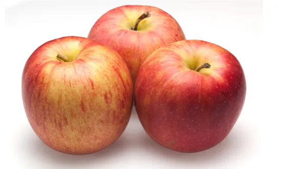 Сорта яблок – лучшие фрукты на любой вкус и цвет. Какого цвета бывают яблоки. 13