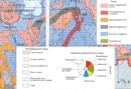 Характеристики грунта в Кировске Ленинградской области