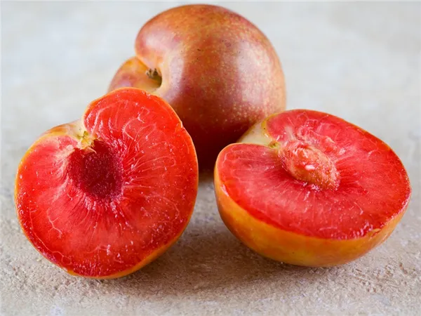 Шарафуга — гибрид абрикоса, сливы и персика. Гибрид персика и абрикоса как называется. 2