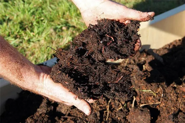 Виды почв и их характеристика по органическому составу