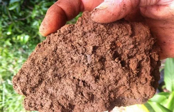способ определения механического состава почвы - супесь