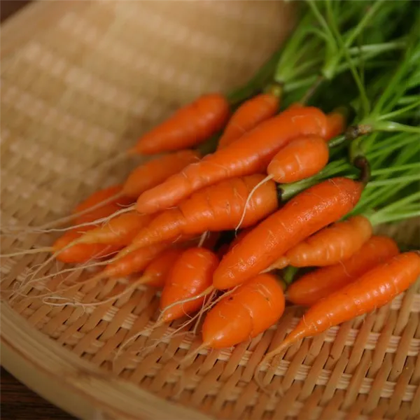 Почему морковь оранжевого цвета. Какие вещества обуславливают цвет моркови. 9