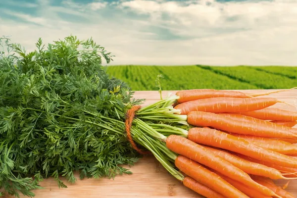 Почему морковь оранжевого цвета. Какие вещества обуславливают цвет моркови. 10
