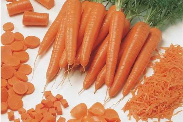 Почему морковь оранжевого цвета. Какие вещества обуславливают цвет моркови. 2