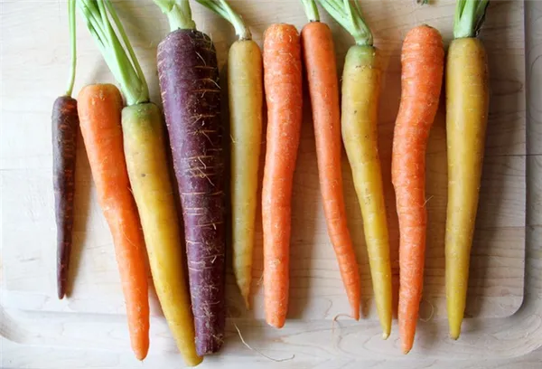Почему морковь оранжевого цвета. Какие вещества обуславливают цвет моркови. 8