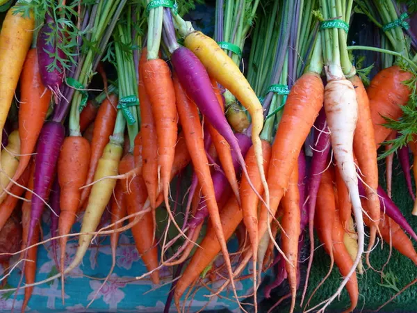 Почему морковь оранжевого цвета. Какие вещества обуславливают цвет моркови. 14
