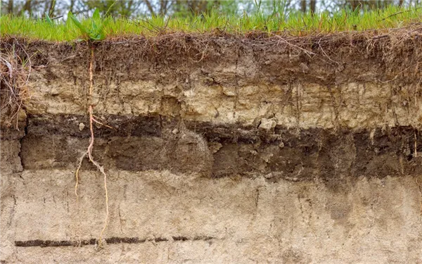 Как образуется почва и сколько в ней слоев. Верхний слой почвы как называется. 2