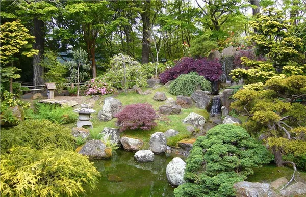 Цвета японского сада