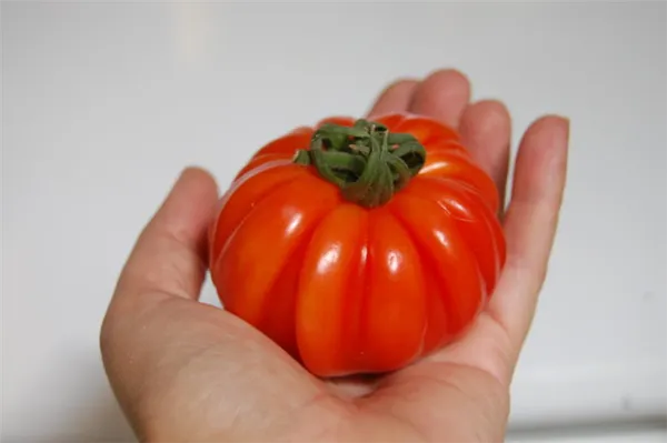Характеристика 8 видов детерминантного сорта томатов: что это такое, и как овощеводу получить желаемый урожай. Супердетерминантный сорт помидор что это. 7