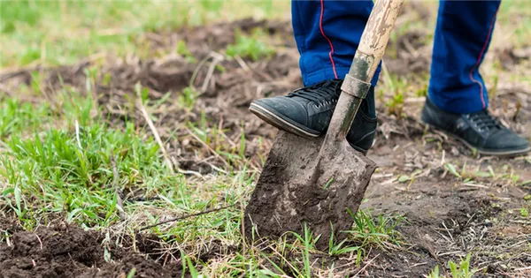копать землю лопатой