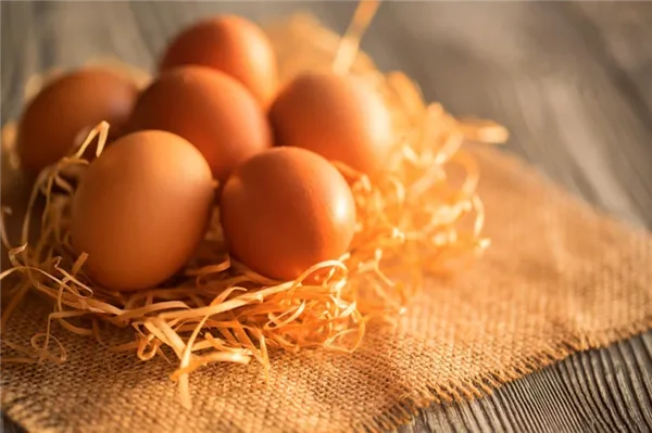 Могут ли куры нести яйца без петуха, какую роль в курятнике выполняет петух и можно ли обойтись без него? Мифы и их опровержения. Как курицы несут яйца без петуха. 7