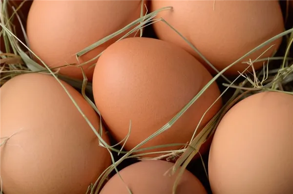 Могут ли куры нести яйца без петуха, какую роль в курятнике выполняет петух и можно ли обойтись без него? Мифы и их опровержения. Как курицы несут яйца без петуха. 6
