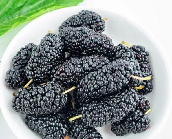 6 чёрных ягод похожих на ежевику. Ягода похожая на ежевику как называется. 5