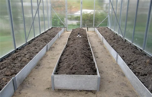 Грядки засыпаются 30-сантиметровым слоем почвы
