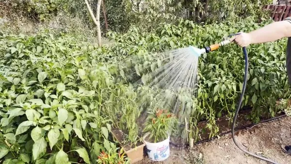 Эффективный садовый разбрызгиватель из ПП труб и ПЭТ бутылок. Как сделать распылитель воды своими руками. 7