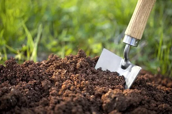 подготовка почвы к высадке рассады