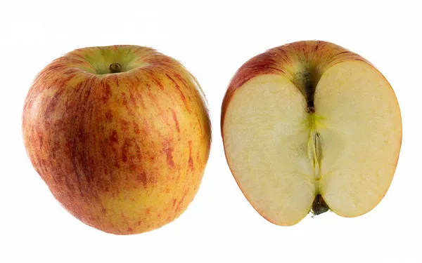 Сорт яблок которые становятся прозрачными. Сорта яблок которые становятся прозрачными. 7