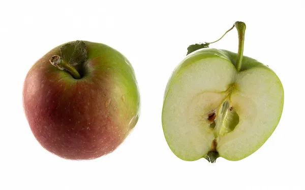 Сорт яблок которые становятся прозрачными. Сорта яблок которые становятся прозрачными. 8