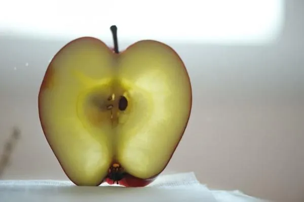 Сорт яблок которые становятся прозрачными. Сорта яблок которые становятся прозрачными. 5