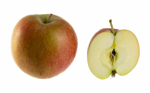 Сорт яблок которые становятся прозрачными. Сорта яблок которые становятся прозрачными. 9