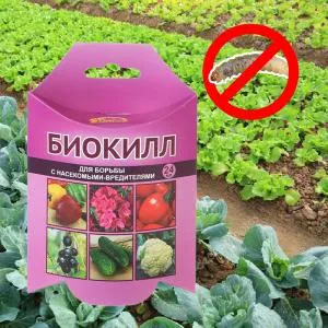 Биокилл против вредителей сада и огорода: инструкция по применению. Биокилл для орхидей как разводить. 3