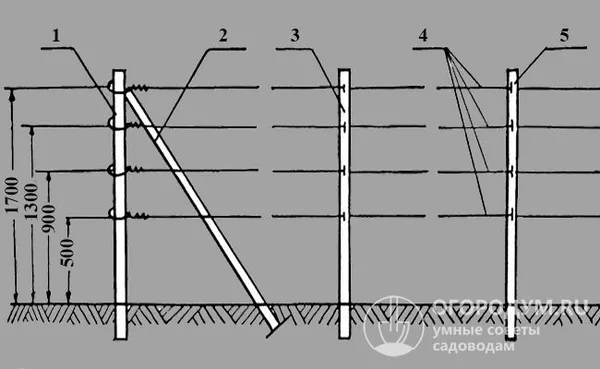Схематичный чертеж одноплоскостной вертикальной шпалеры: 1 – якорный столб, 2 – якорь, 3 – промежуточный столб, 4 – шпалерная проволока, 5 – скобы для крепления проволоки на промежуточных столбах