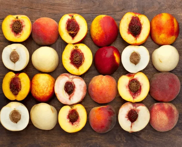 Отличия и сходства персиков и нектаринов. Чем отличается персик от нектарина. 6