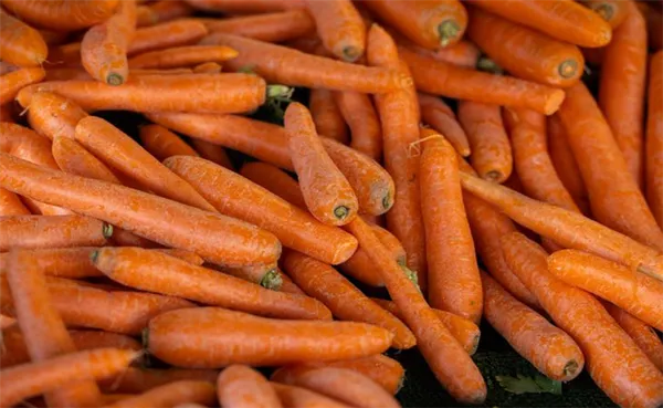 Как вырастить крупную и вкусную морковь: 5 рекомендаций