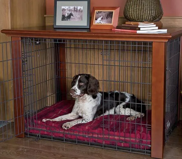 Собачья клетка — уютный дом или место заключения. Как сделать клетку для собаки своими руками. 10