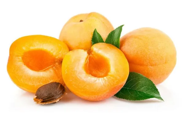 Что за фрукт абрикос