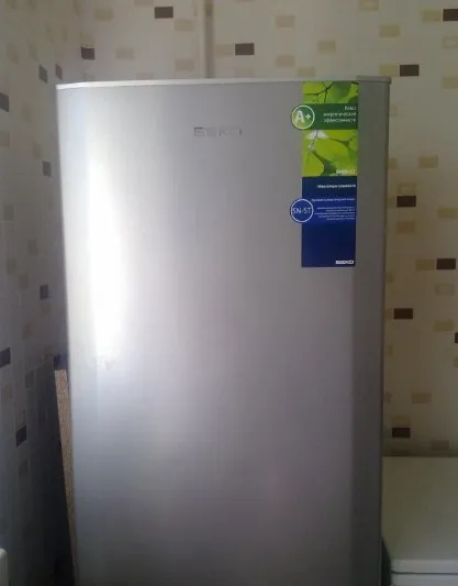 Холодильник Beko CS 328020 на обычной кухне в серебристом цвете с уровнем энергопотребления А+
