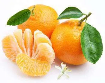 Танжерин что это за фрукт — описание и полезные свойства цитруса. Танжерин что это за фрукт. 4