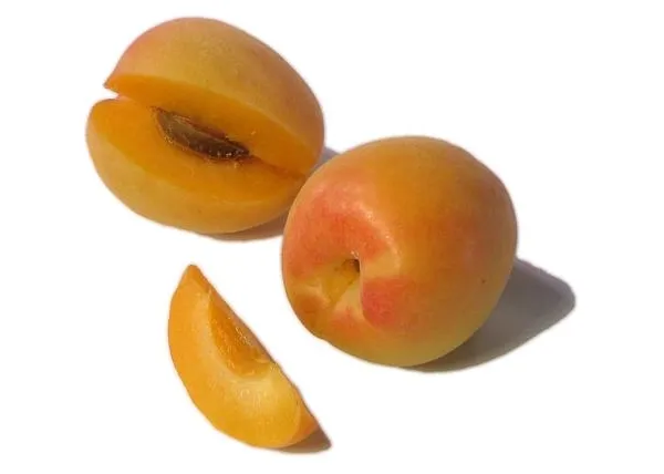 Шарафуга — гибрид абрикоса, сливы и персика. Гибрид персика и абрикоса как называется. 6