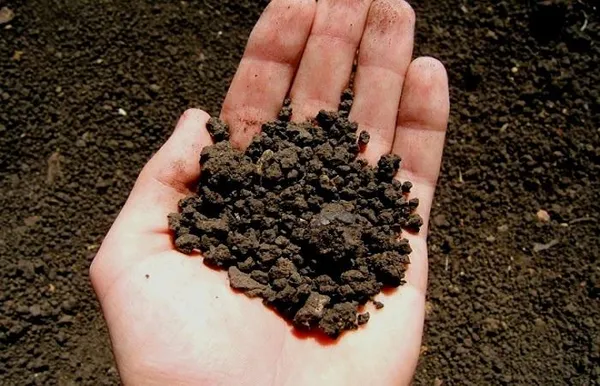 С чем связано загрязнение почвы тяжелыми металлами и как с этим бороться. С чем связано загрязнение почвы тяжелыми металлами. 17