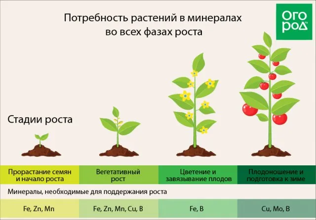 Особенности хелатных удобрений и способы их применения 5