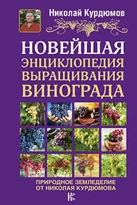 Чем и когда подкормить виноград, чтобы собрать хороший урожай 8