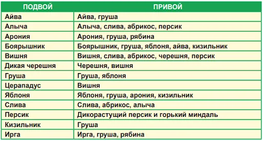 Совместимость растений для прививки