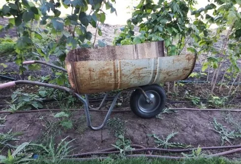 Садовая тележка своими руками: одноколесная, 2-х, 4-х колесная, как сделать