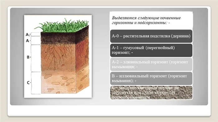 Выделяются следующие почвенные горизонты и подгоризонты: - А-0 – растительная.