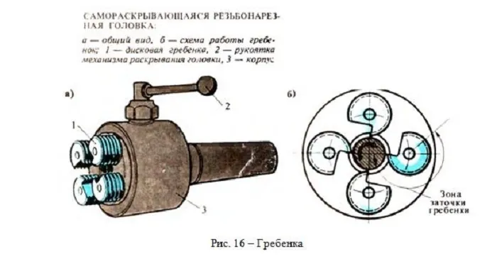 narez-rezbi-8