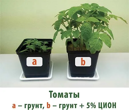 Цион для овощей - томатов, перцев и др 2