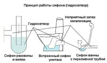 Принцип работы сифона