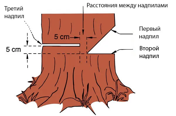 Проверка цепи перед работой