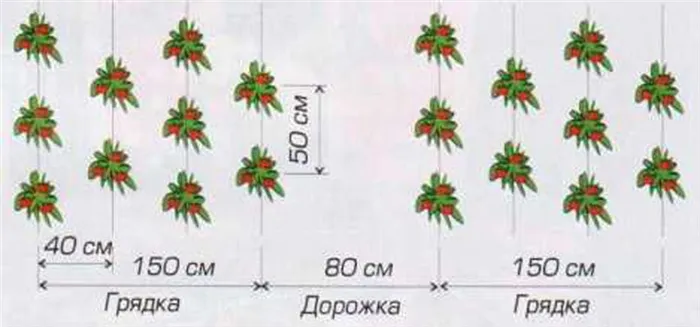 схема