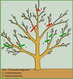 Приготовление инструментов