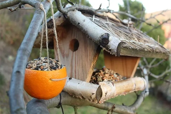 Кормушка для птиц из пластиковой бутылки.