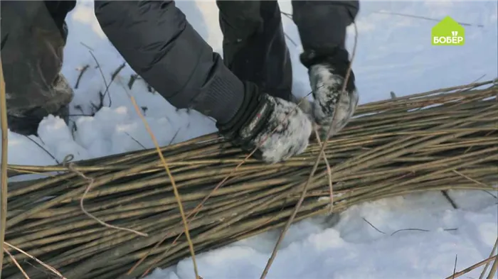 Живая изгородь из ивы: как создать изящный вариант дачной ограды 11