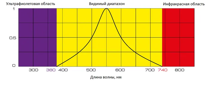 Как работает фотоловушка